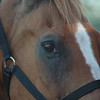 Alana Moser > Dixie Dude Ranch 2005 photo