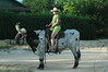 Alana Moser > Dixie Dude Ranch 2006 photo