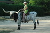 Alana Moser > Dixie Dude Ranch 2006 photo