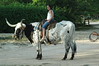 Alana Moser > Dixie Dude Ranch 2006 photo